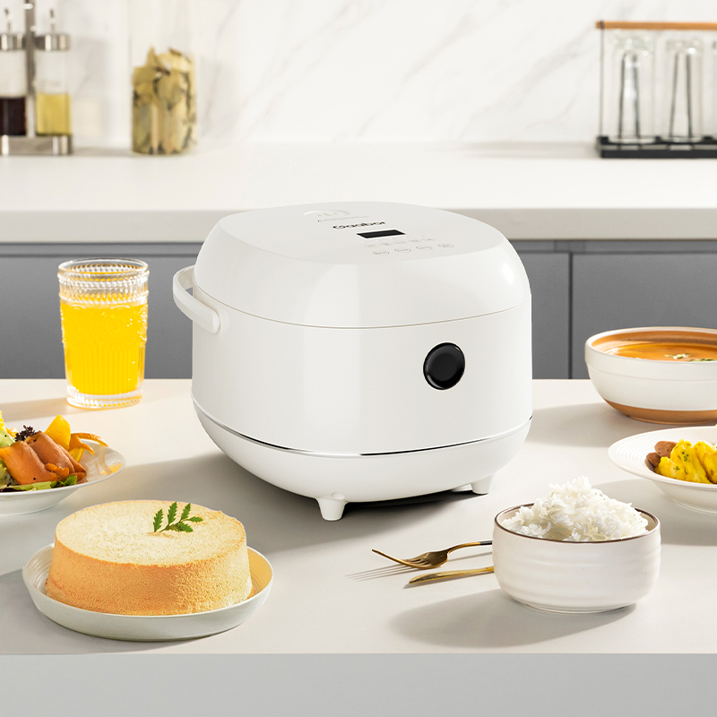 RC 30T01A Rice Cooker